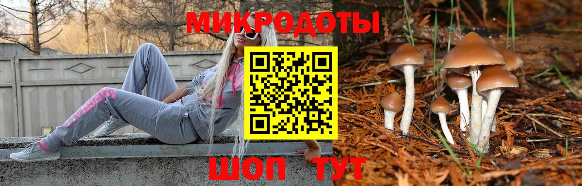 закладки  Галлюциногенные грибы Psilocybine cubensis  Вход с VPN  Псилоцибиновые грибы мухоморы  Благодарный 
